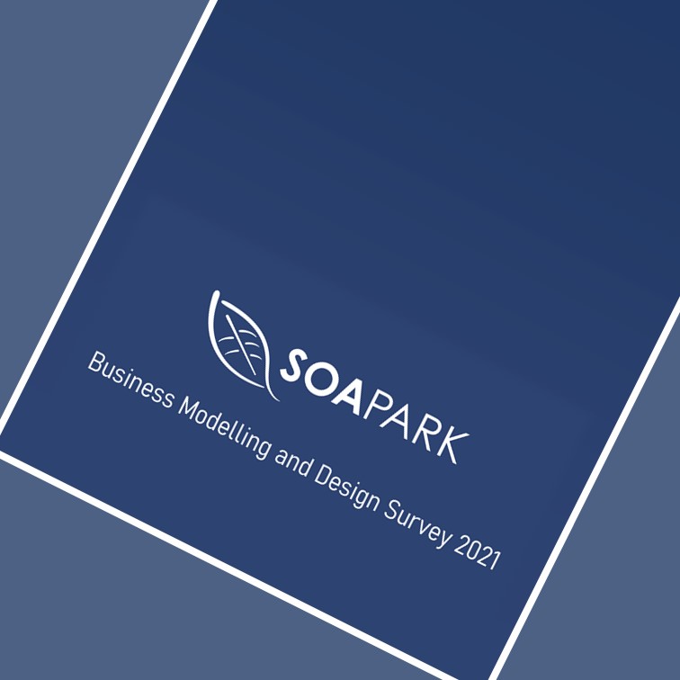 Business Modelling and Design Survey 2021